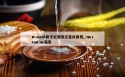 muscat属于红葡萄还是白葡萄_muscadine葡萄
